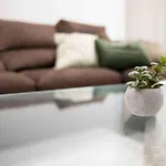 Apartment Flat 3, Nearby Beaches & Countryside, Sleeps 11